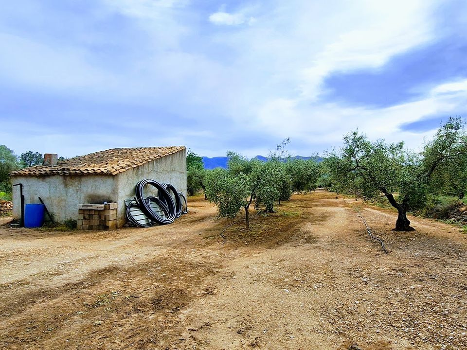 Finca i Ginestar, Tarragona - foto 2